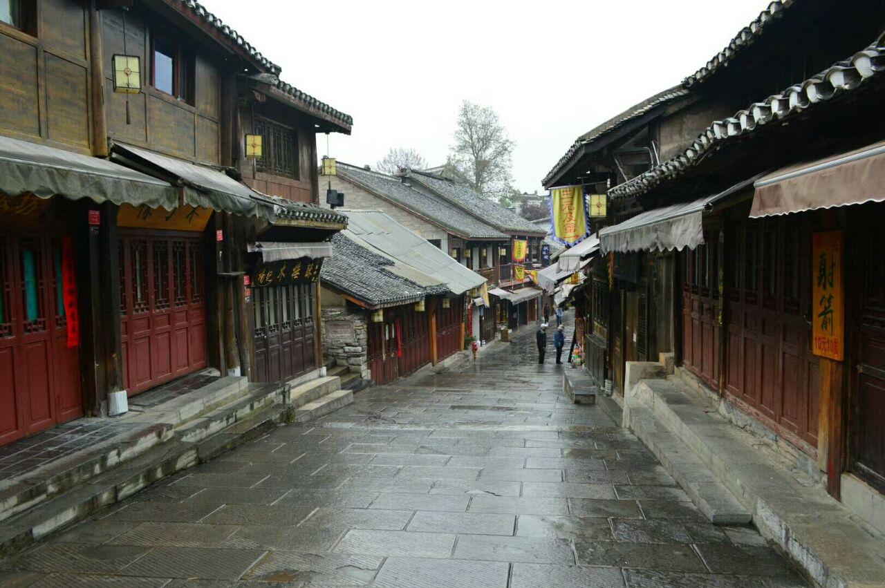 可爱啄木鸟逃脱